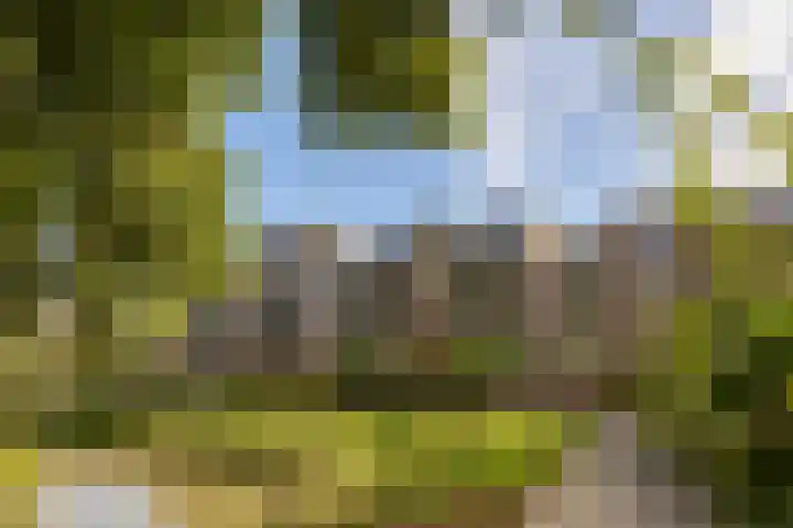 Muiderschans 45 Nieuwegein thumbnail 32