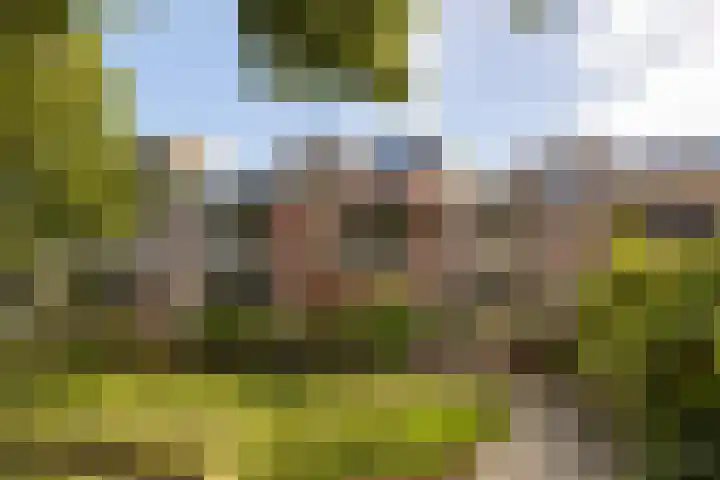 Muiderschans 45 Nieuwegein thumbnail 6