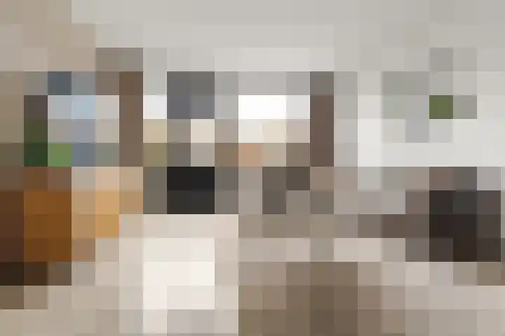 Muiderschans 46 Nieuwegein thumbnail 7