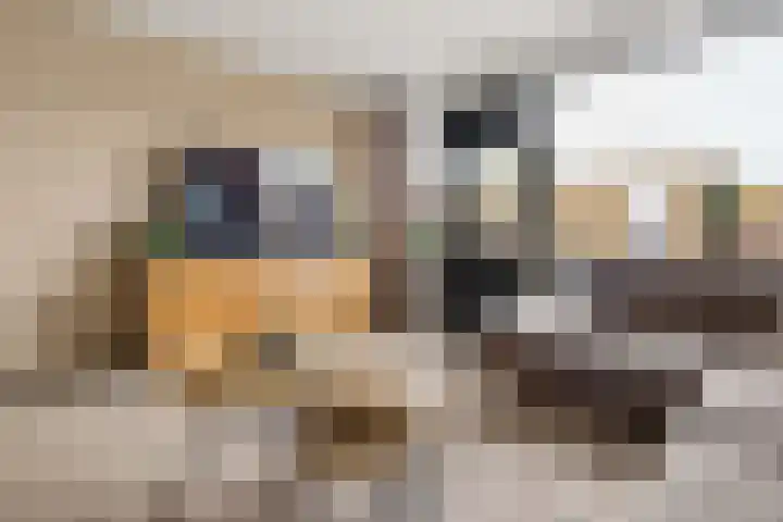 Muiderschans 46 Nieuwegein thumbnail 8