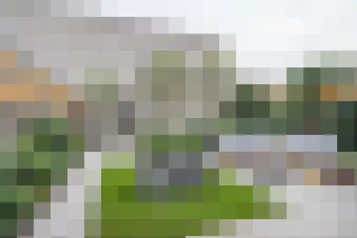 Muiderschans 56 Nieuwegein thumbnail 21