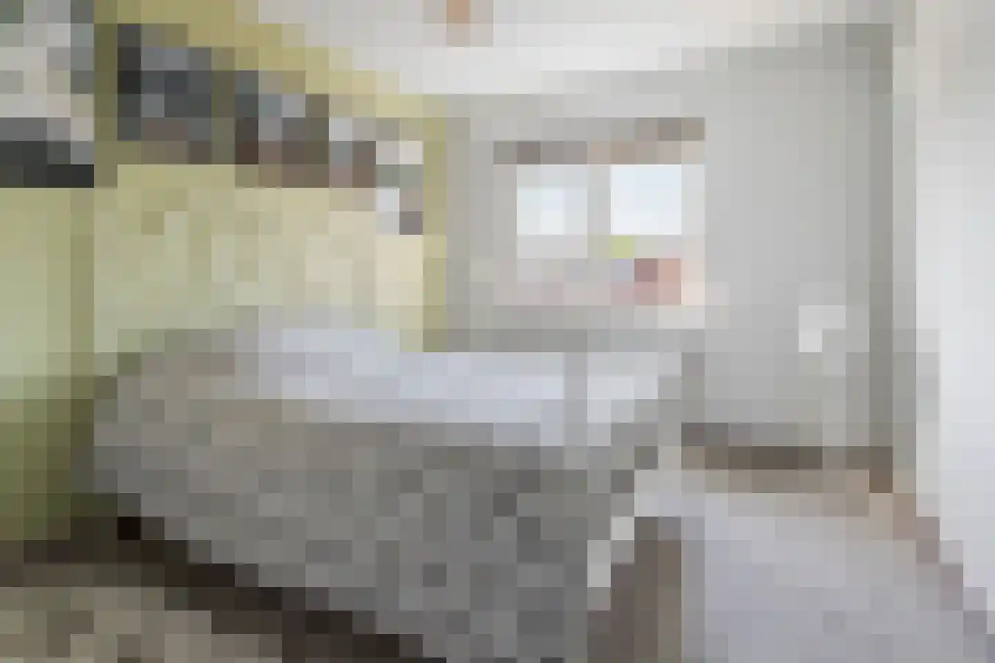 Muiderschans 6 Nieuwegein thumbnail 16