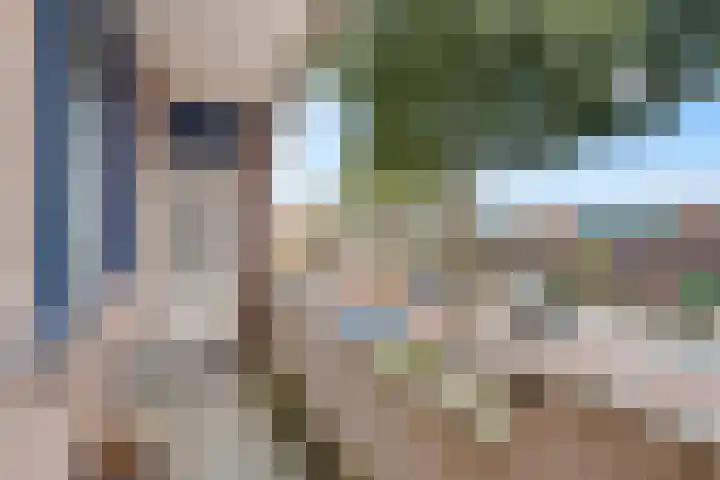 Muiderschans 93 Nieuwegein thumbnail 11