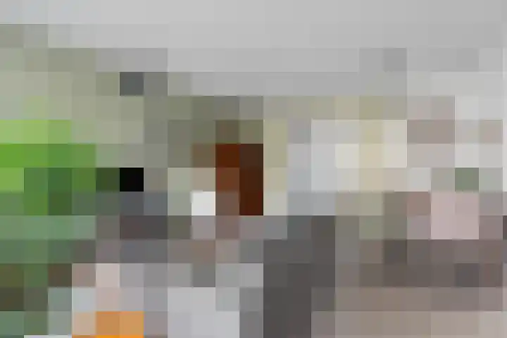 Muiderschans 93 Nieuwegein thumbnail 21