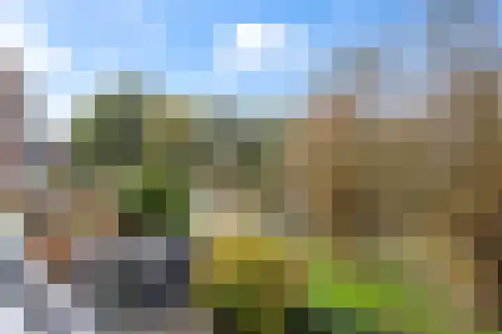 Muiderschans 93 Nieuwegein thumbnail 30