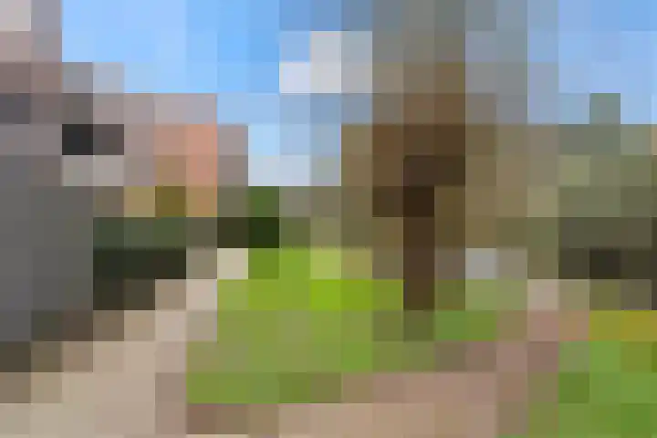 Muiderschans 93 Nieuwegein thumbnail 47