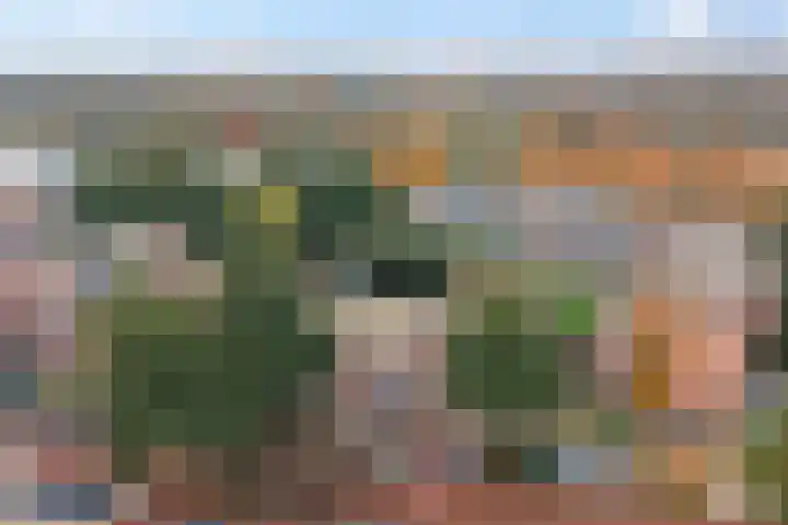 Muiderschans 93 Nieuwegein thumbnail 56