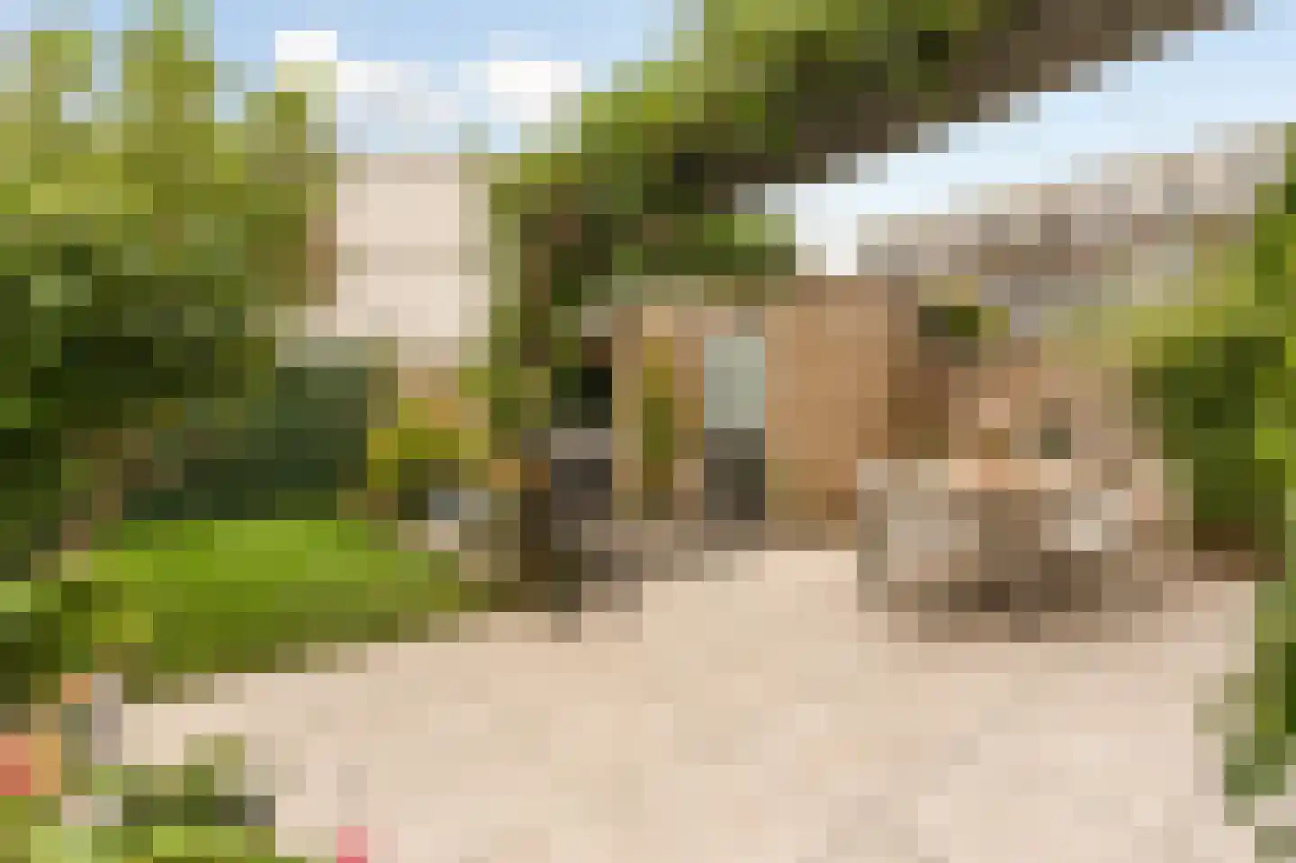 Muiderslotlaan 114 Weesp thumbnail 13