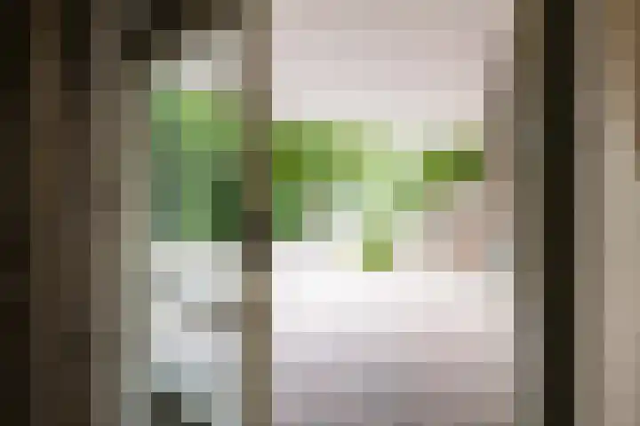 Muiderslotpad 40 Hellevoetsluis thumbnail 33