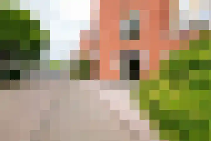 Muiderslotpad 40 Hellevoetsluis thumbnail 37