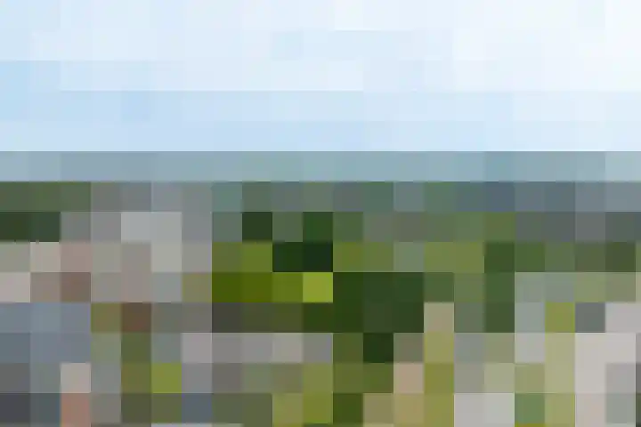 Muiderslotpad 40 Hellevoetsluis thumbnail 39
