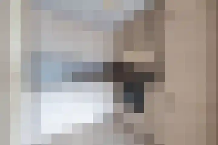 Muiderslotpad 40 Hellevoetsluis thumbnail 4