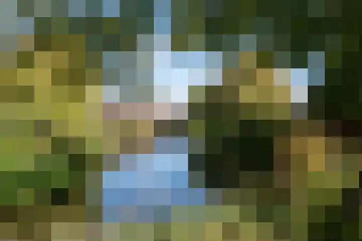 Muiderslotpad 98 Hellevoetsluis thumbnail 43