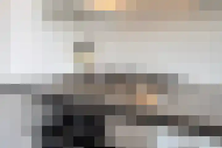 Muiderslotstraat 101 Breda thumbnail 16