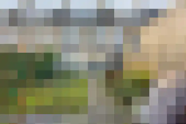 Muiderslotstraat 101 Breda thumbnail 30