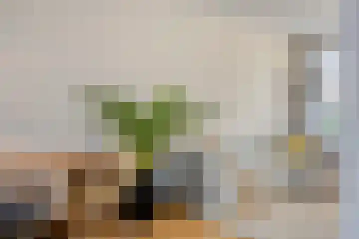Muiderslotstraat 101 Breda thumbnail 8