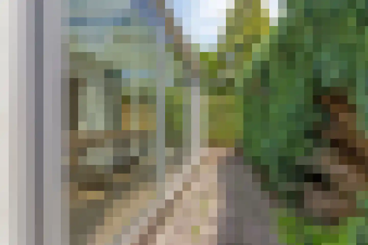 Muiderslotstraat 28 Arnhem thumbnail 16