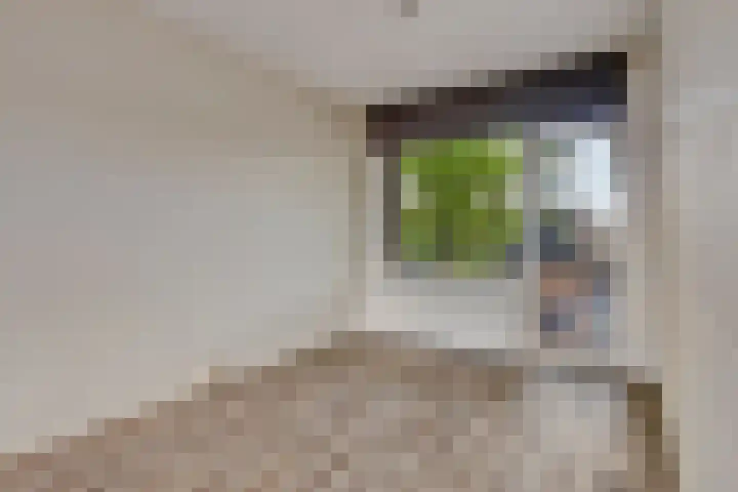 Muiderslotstraat 3 Tilburg thumbnail 16