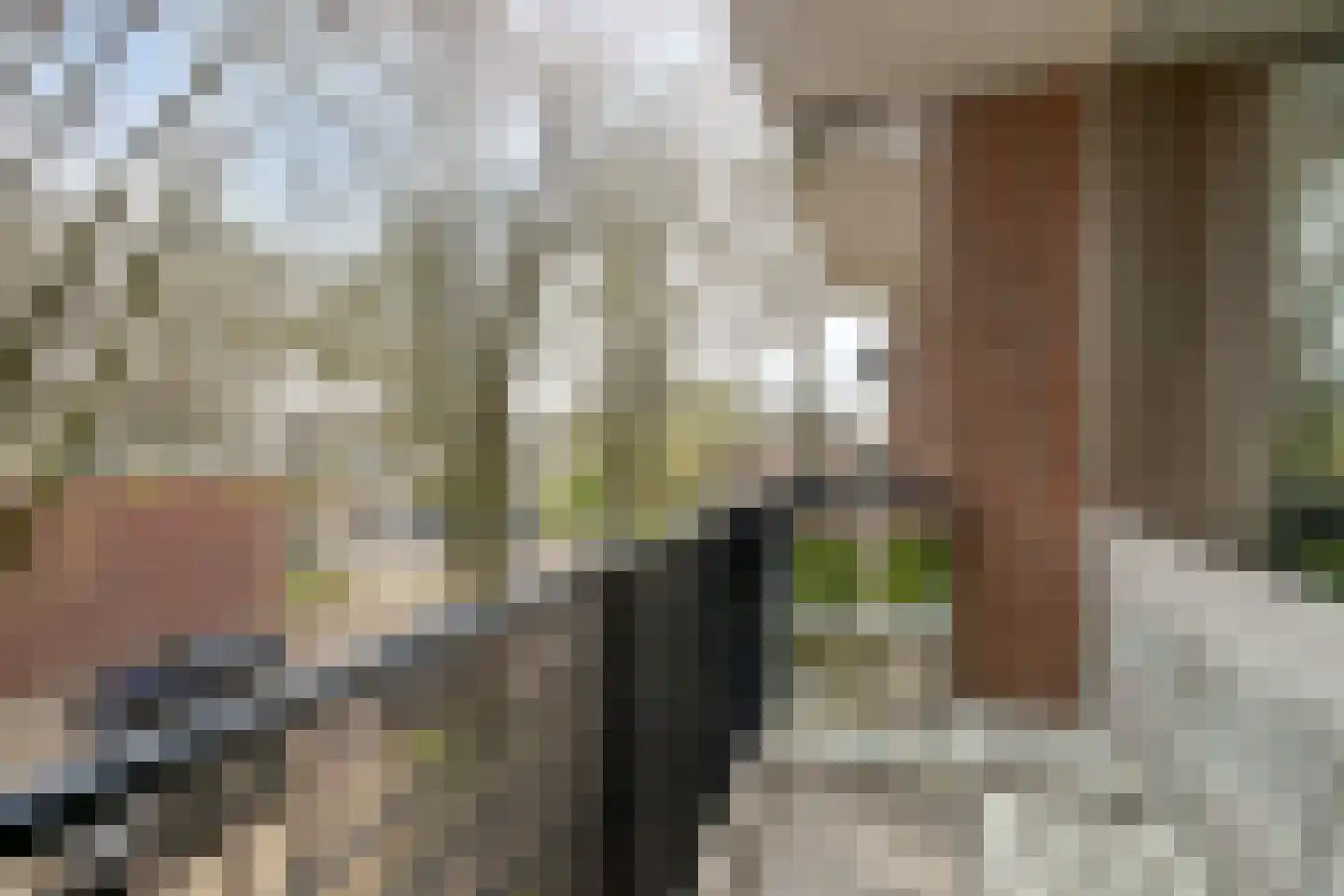 Muiderslotstraat 33 Tilburg thumbnail 11