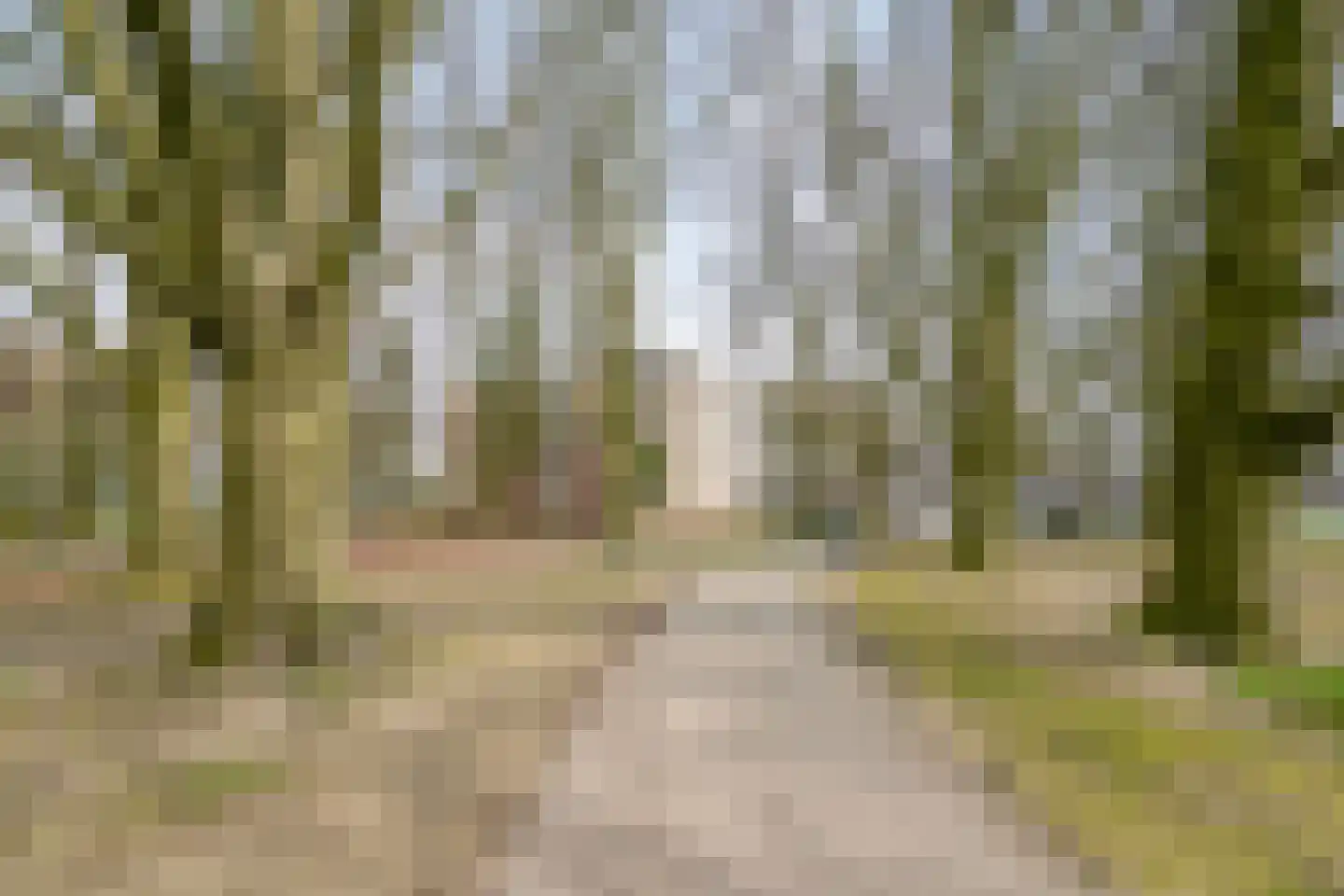 Muiderslotstraat 33 Tilburg thumbnail 48