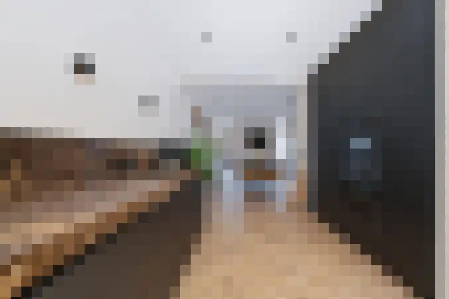 Muiderslotstraat 6 Arnhem thumbnail 25