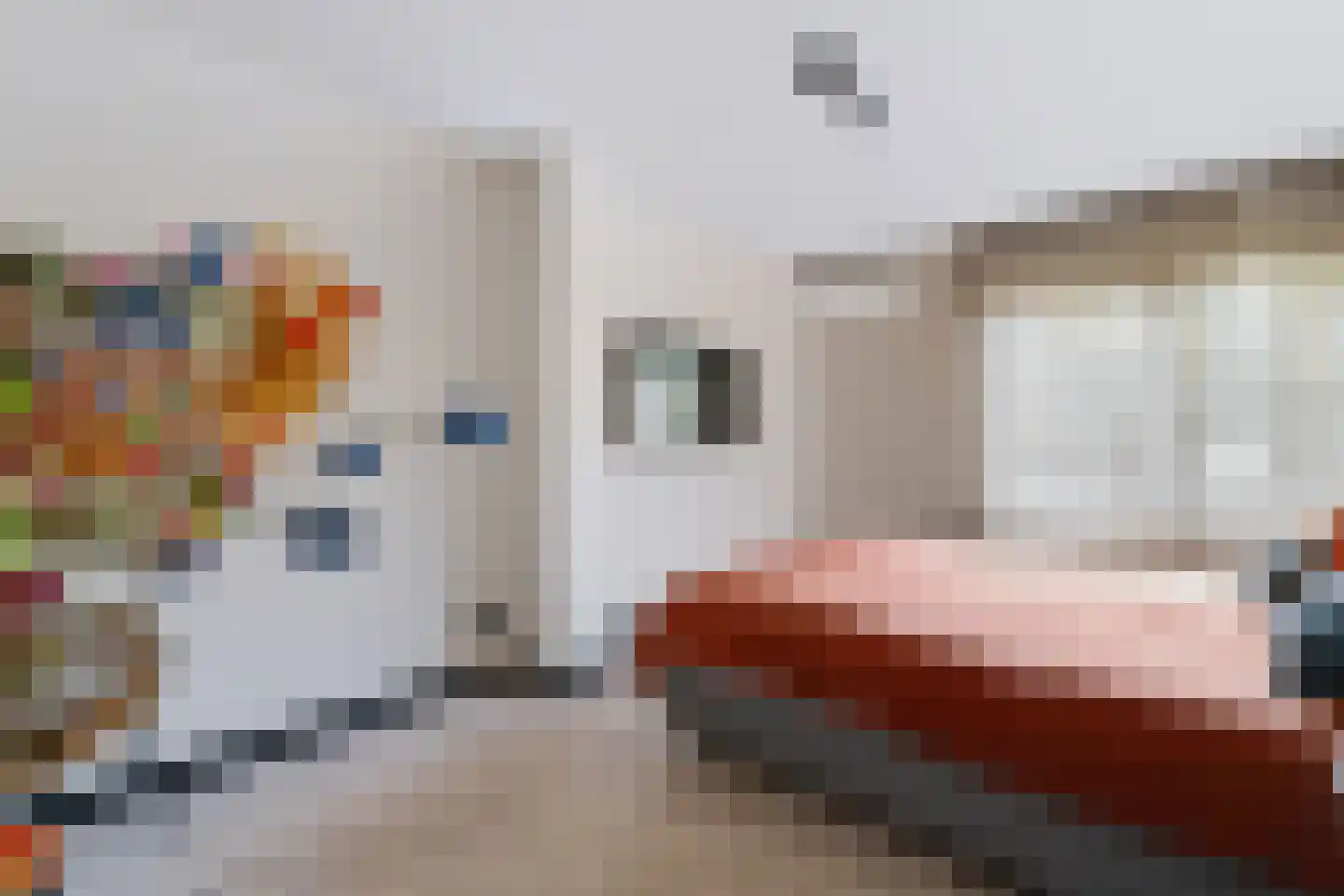 Muiderslotstraat 6 Arnhem thumbnail 35