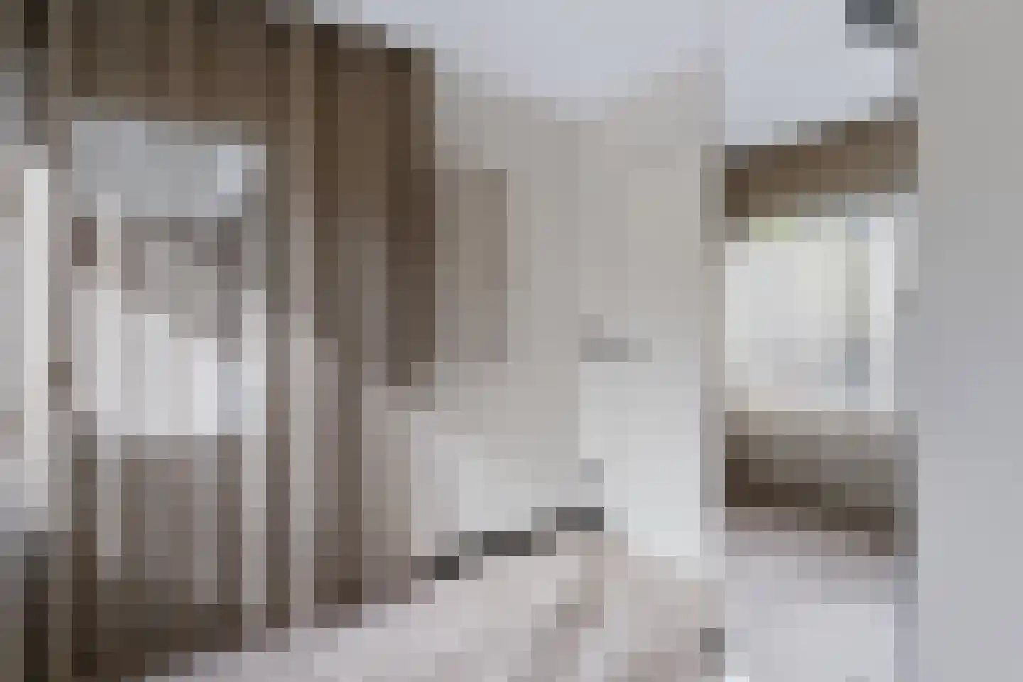 Muiderslotstraat 6 Arnhem thumbnail 37