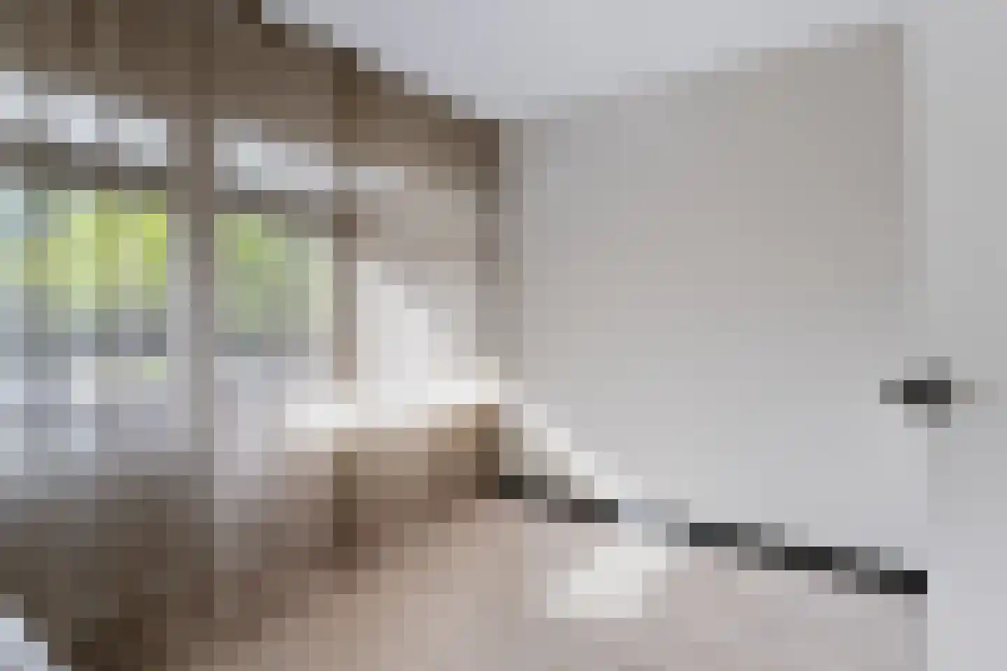 Muiderslotstraat 6 Arnhem thumbnail 38