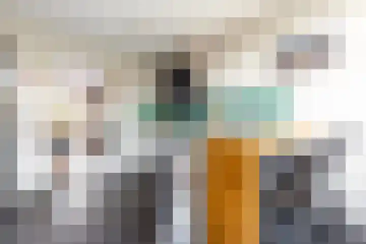 Muiderslotweg 148 Haarlem thumbnail 13