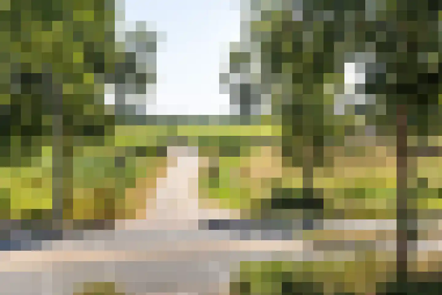 Muiderslotweg 252 Haarlem thumbnail 18