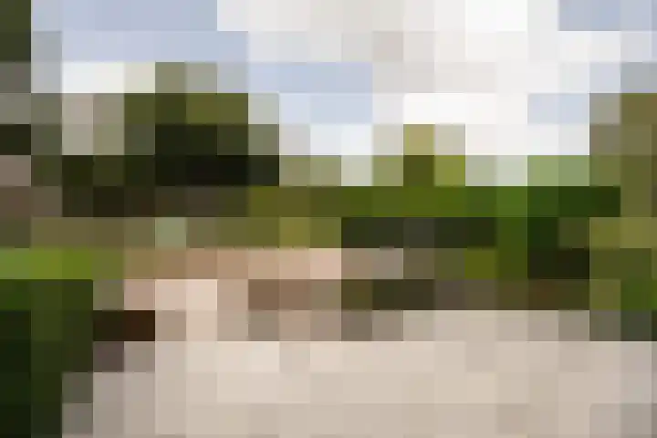 Muiderslotweg 56 Haarlem thumbnail 32