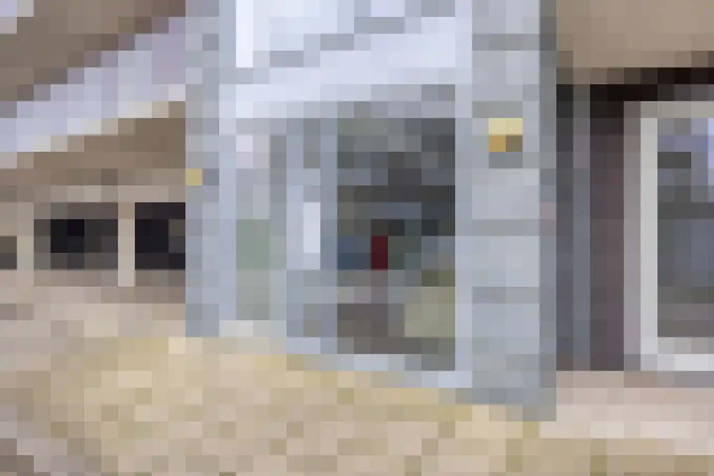 Muiderstraat 103 Berkel en Rodenrijs thumbnail 18