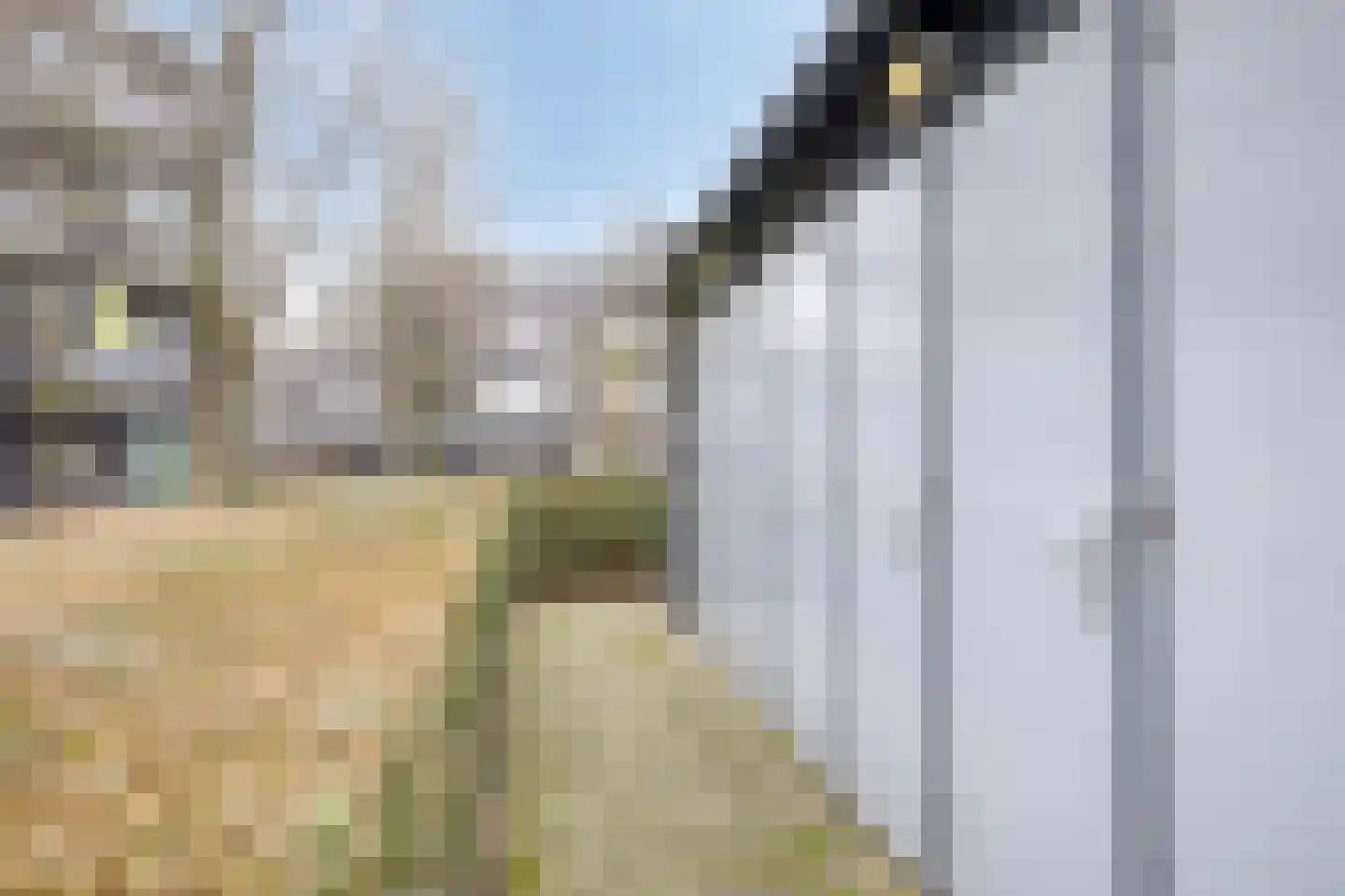 Muiderstraat 103 Berkel en Rodenrijs thumbnail 20