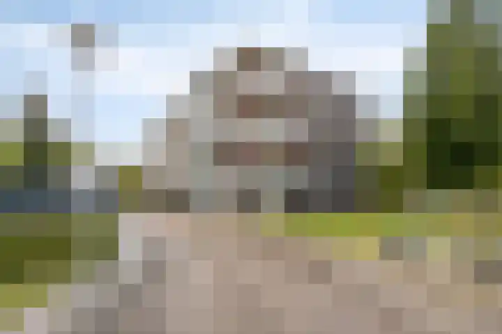 Muiderstraat 49 Berkel en Rodenrijs thumbnail 6