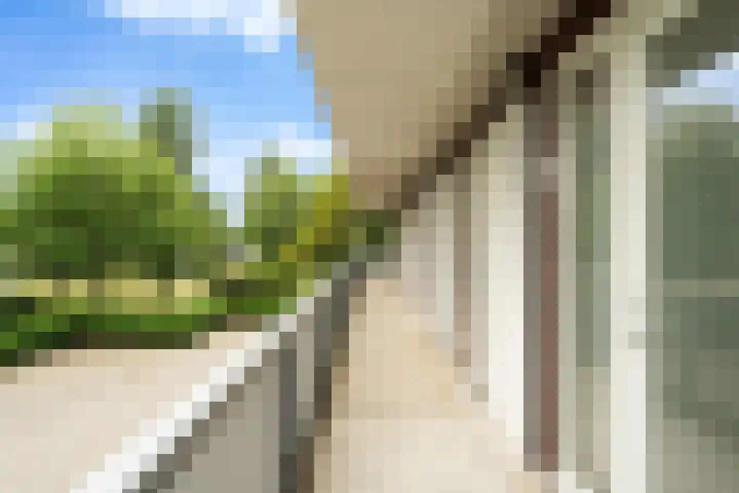 Muiderstraat 51 Berkel en Rodenrijs thumbnail 10