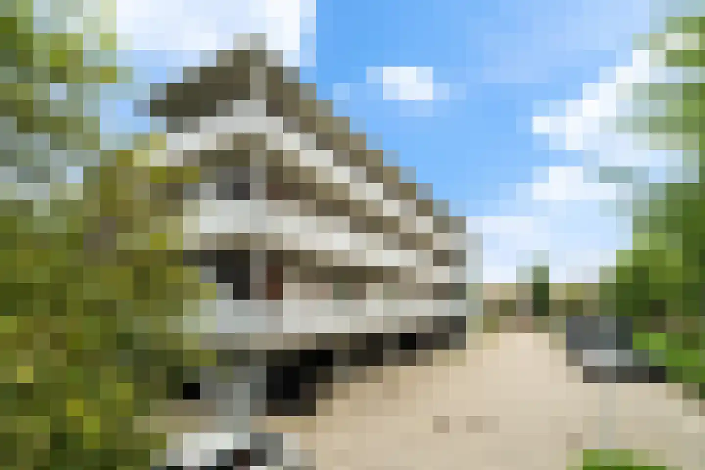 Muiderstraat 51 Berkel en Rodenrijs thumbnail 7