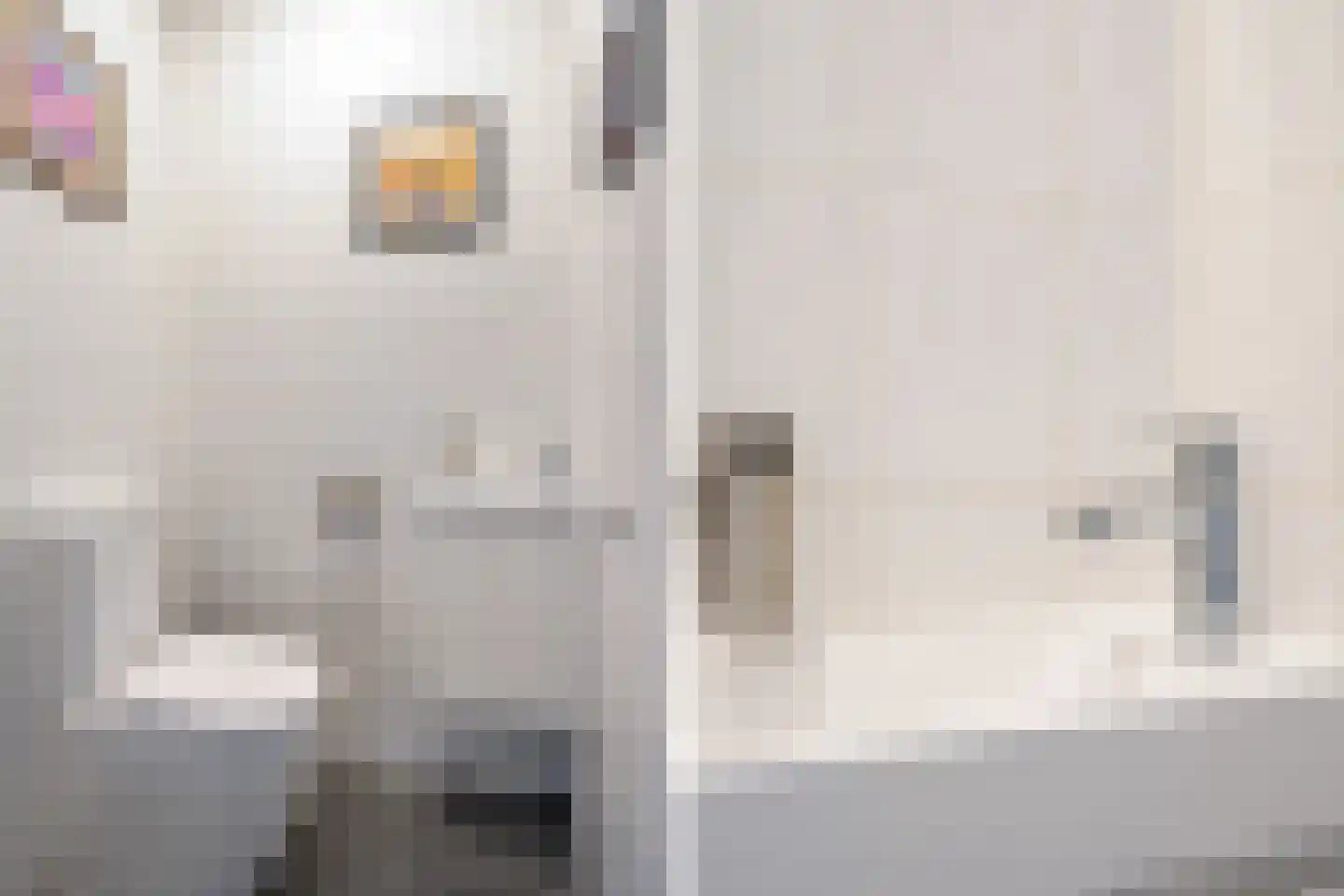 Muiderstraat 65 Berkel en Rodenrijs thumbnail 12