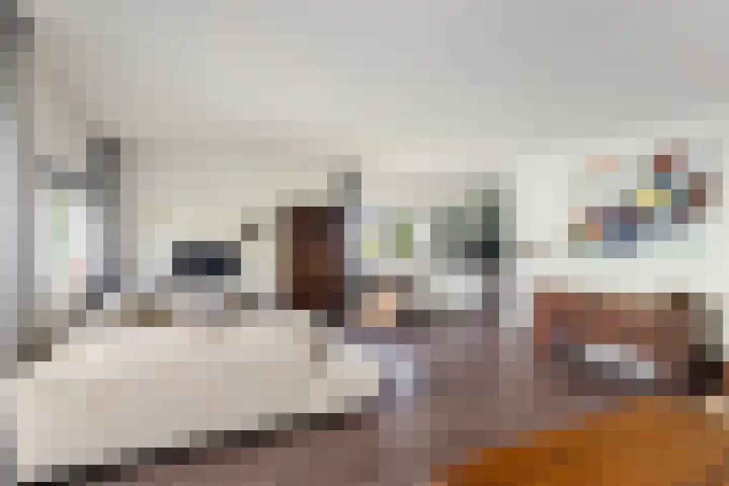 Muiderstraat 65 Berkel en Rodenrijs thumbnail 13