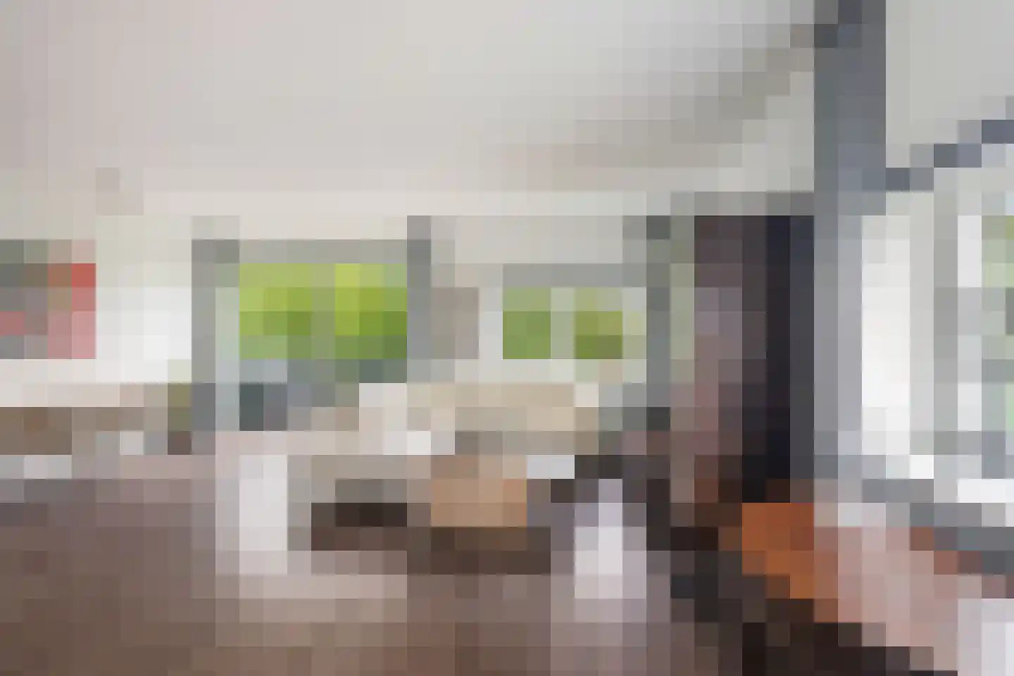 Muiderstraat 65 Berkel en Rodenrijs thumbnail 14