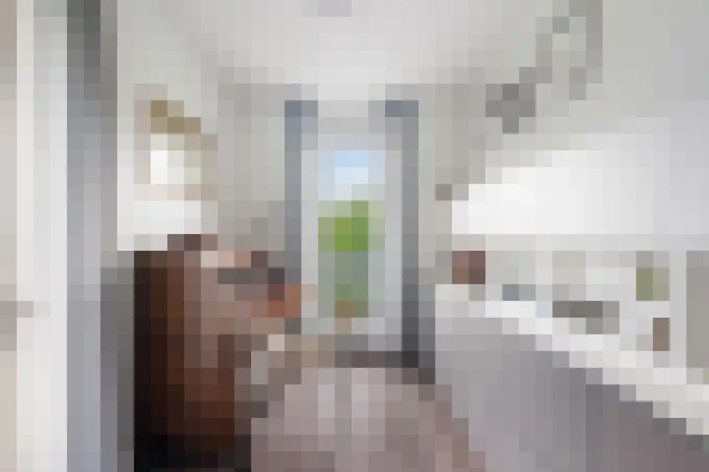 Muiderstraat 65 Berkel en Rodenrijs thumbnail 18