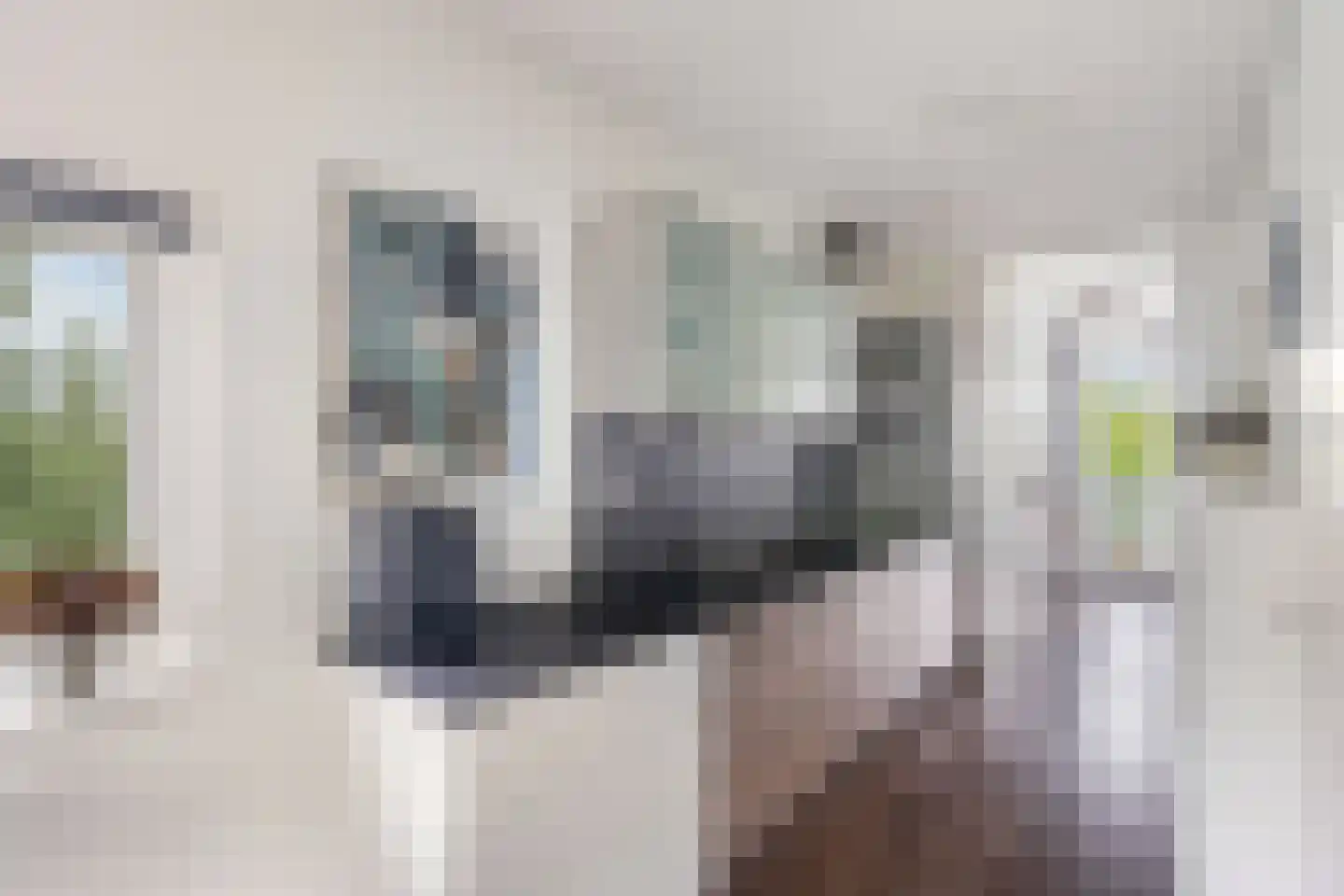 Muiderstraat 65 Berkel en Rodenrijs thumbnail 5