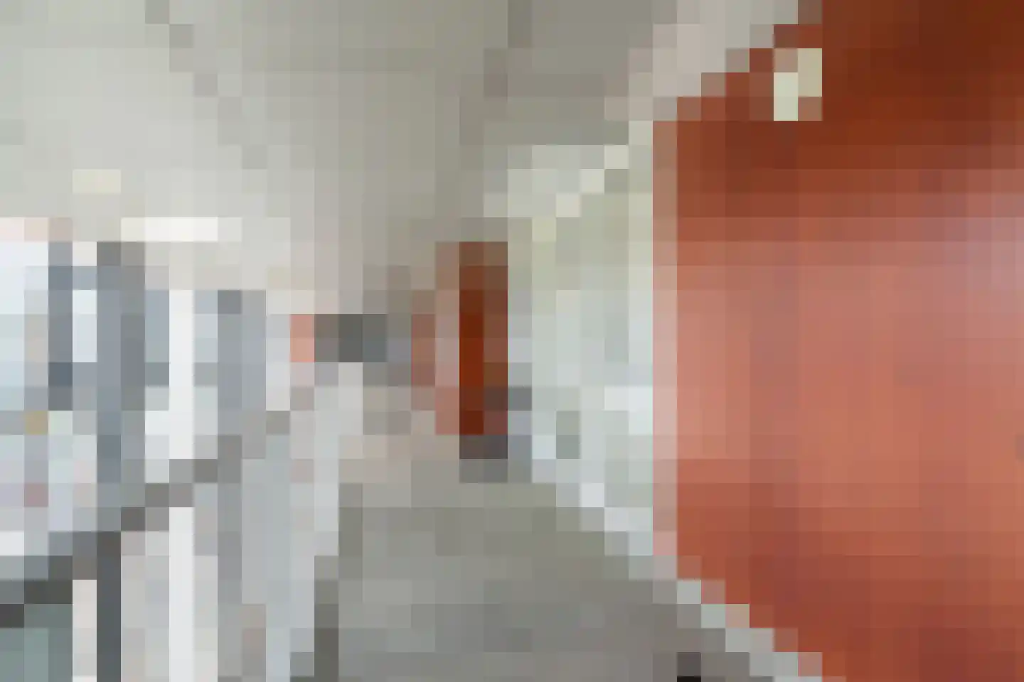 Muiderstraat 72 Berkel en Rodenrijs thumbnail 8