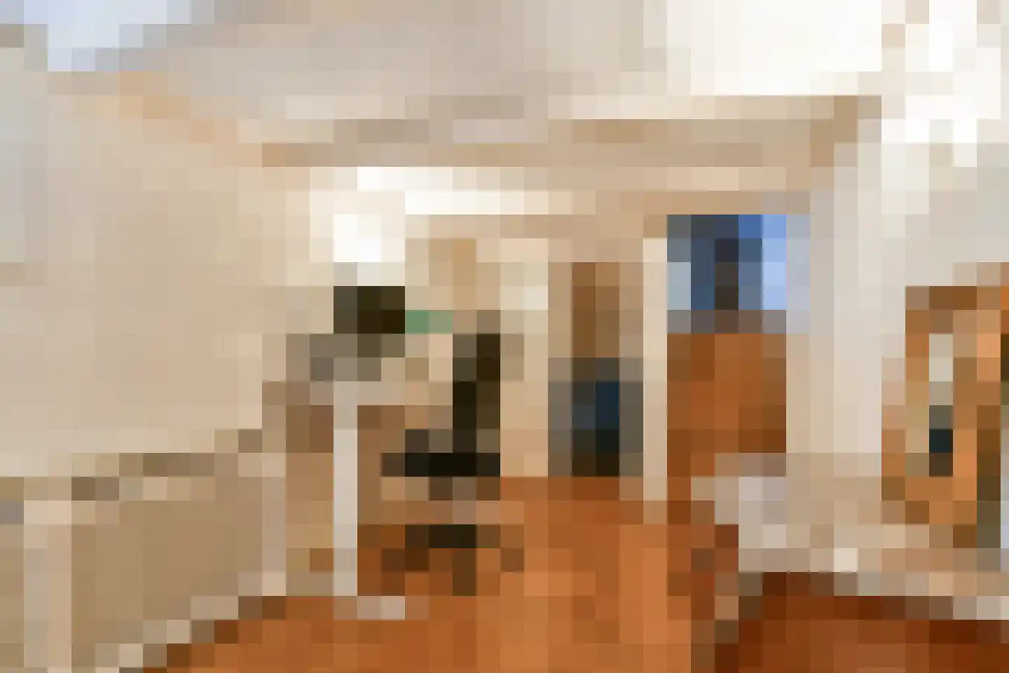 Muiderstraat 8 H Amsterdam thumbnail 17