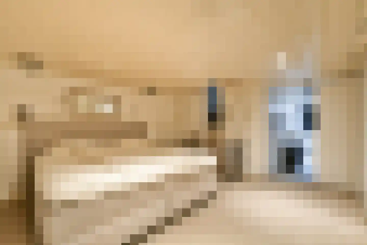 Muiderstraat 8 H Amsterdam thumbnail 18