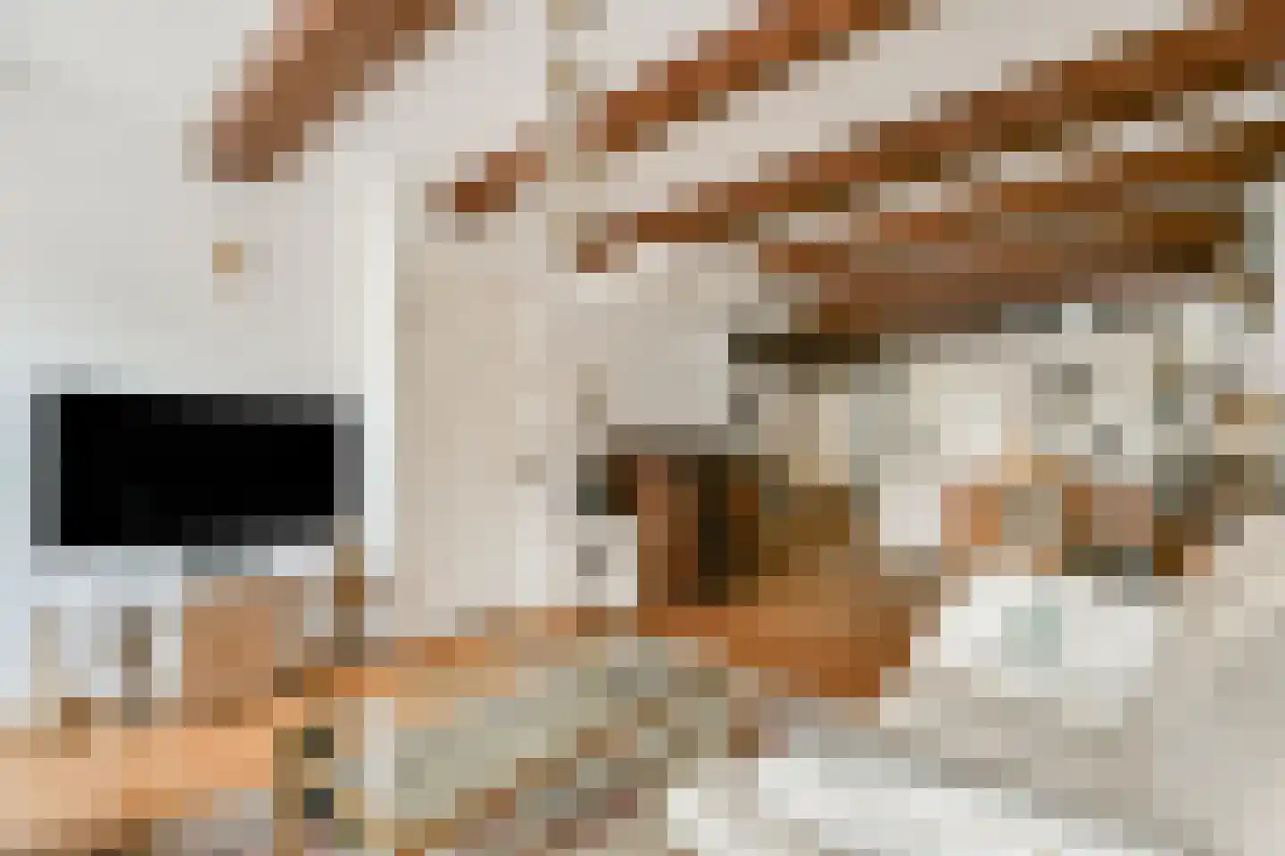 Muiderstraat 8 H Amsterdam thumbnail 27