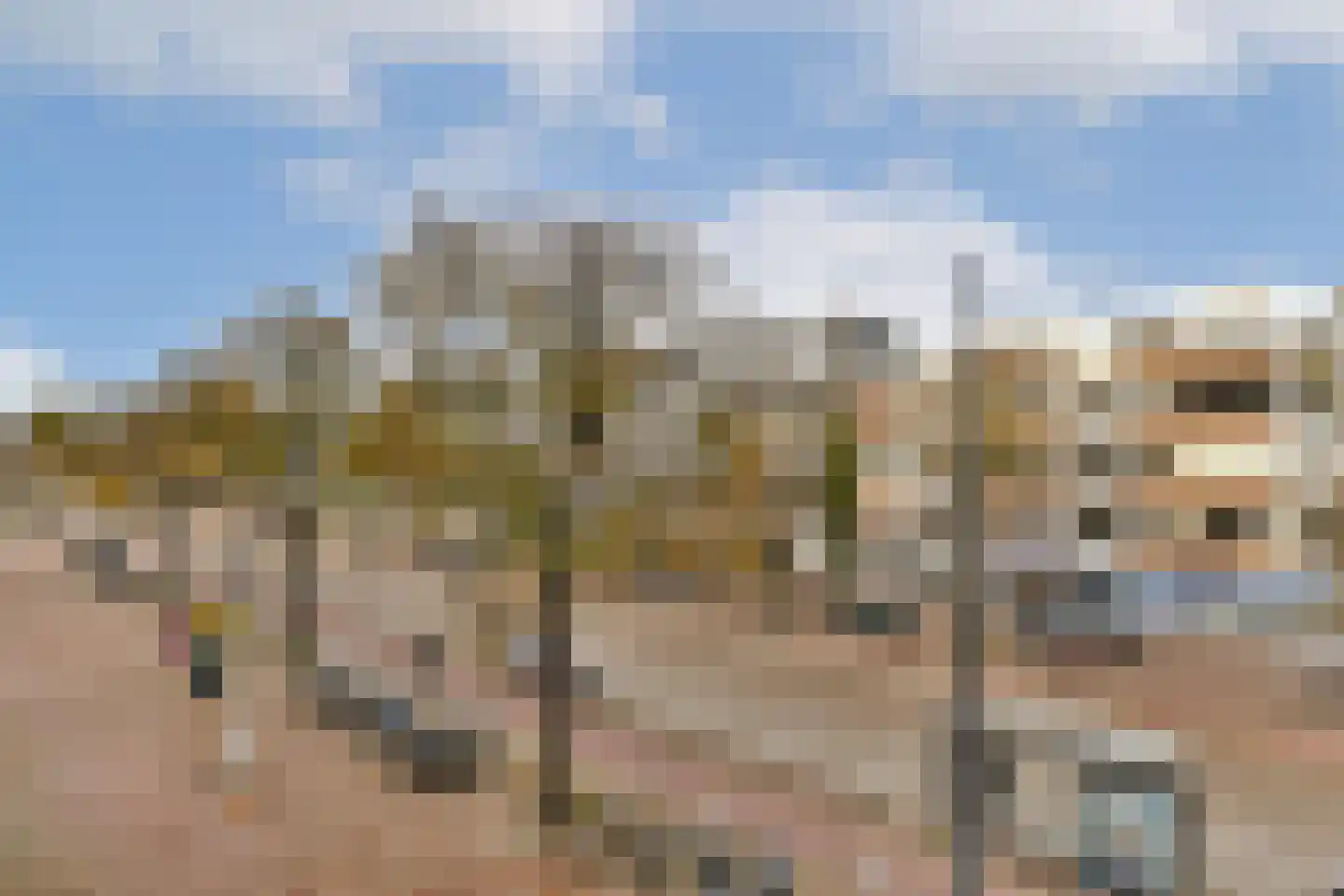 Muiderstraat 8 H Amsterdam thumbnail 36