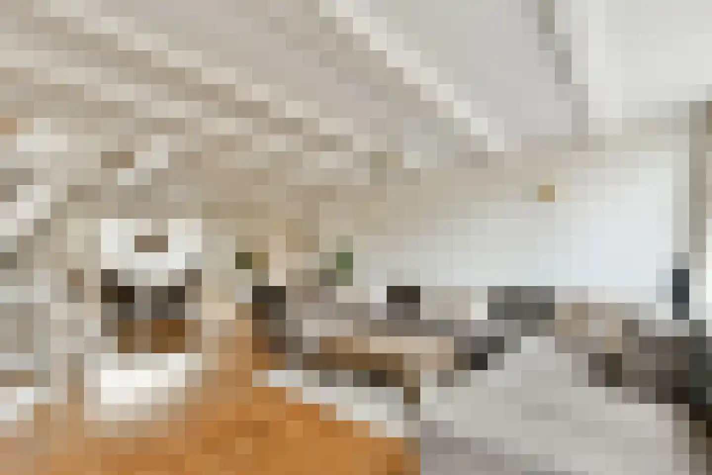 Muiderstraat 8 H Amsterdam thumbnail 37
