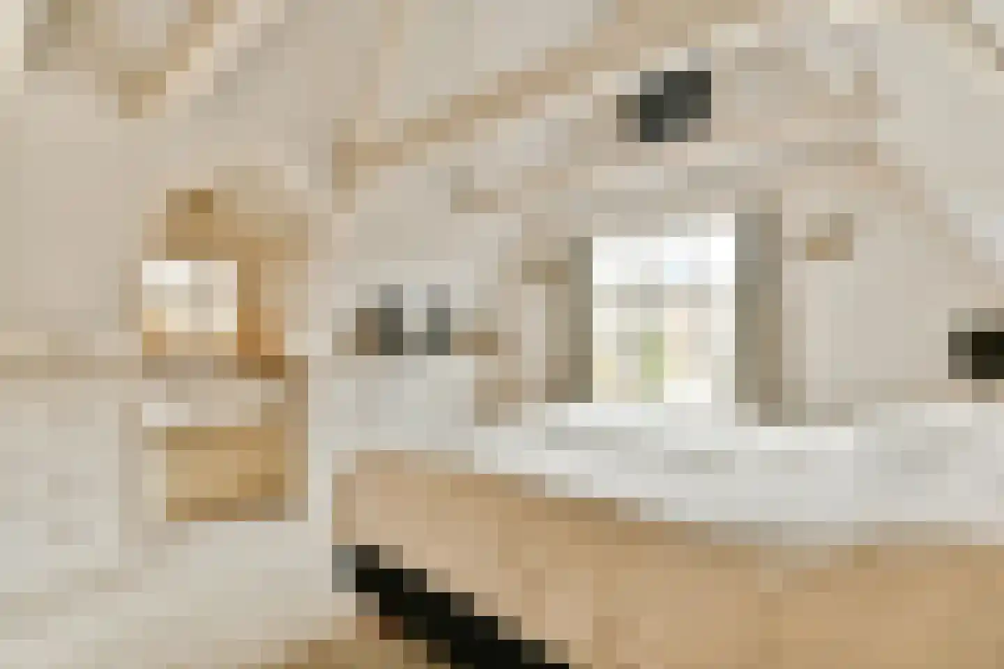 Muiderstraat 8 H Amsterdam thumbnail 44