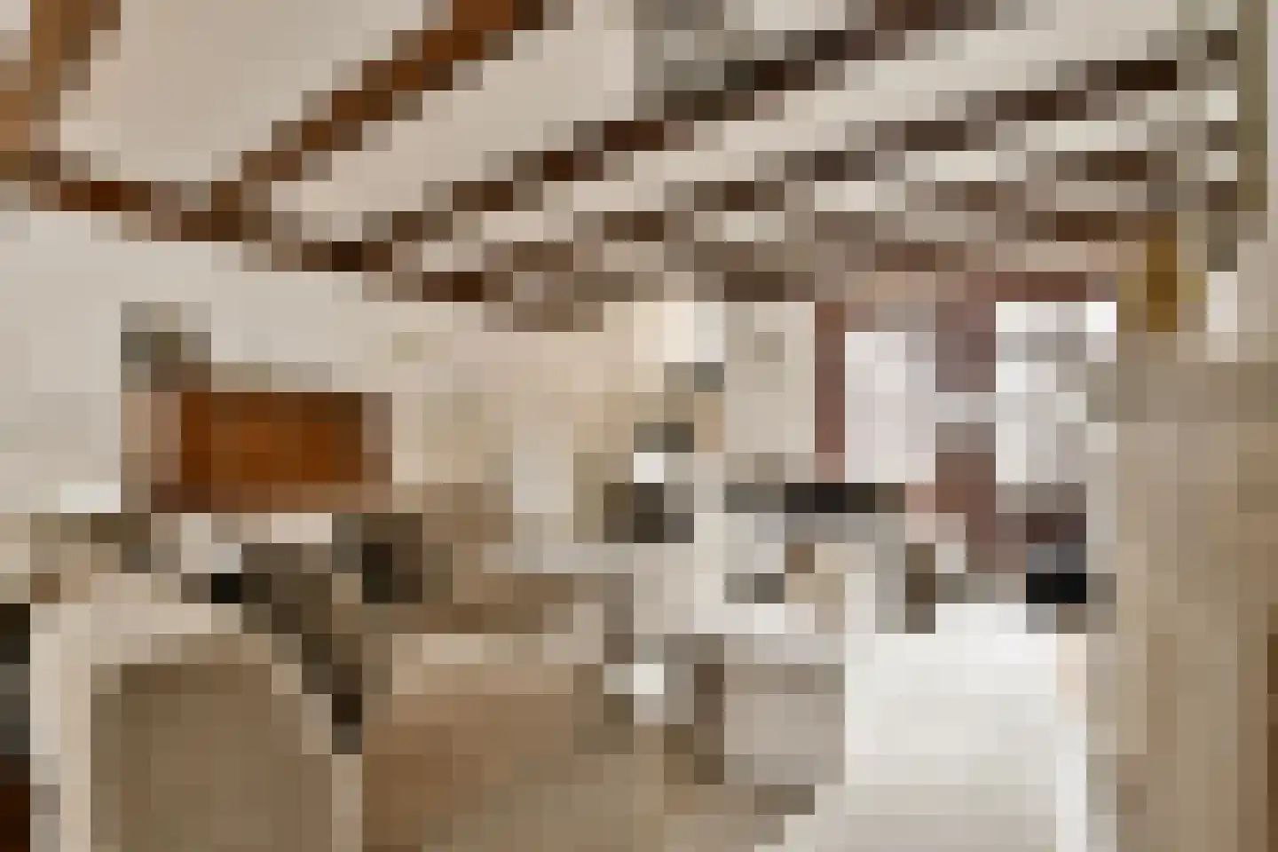 Muiderstraat 8 H Amsterdam thumbnail 5