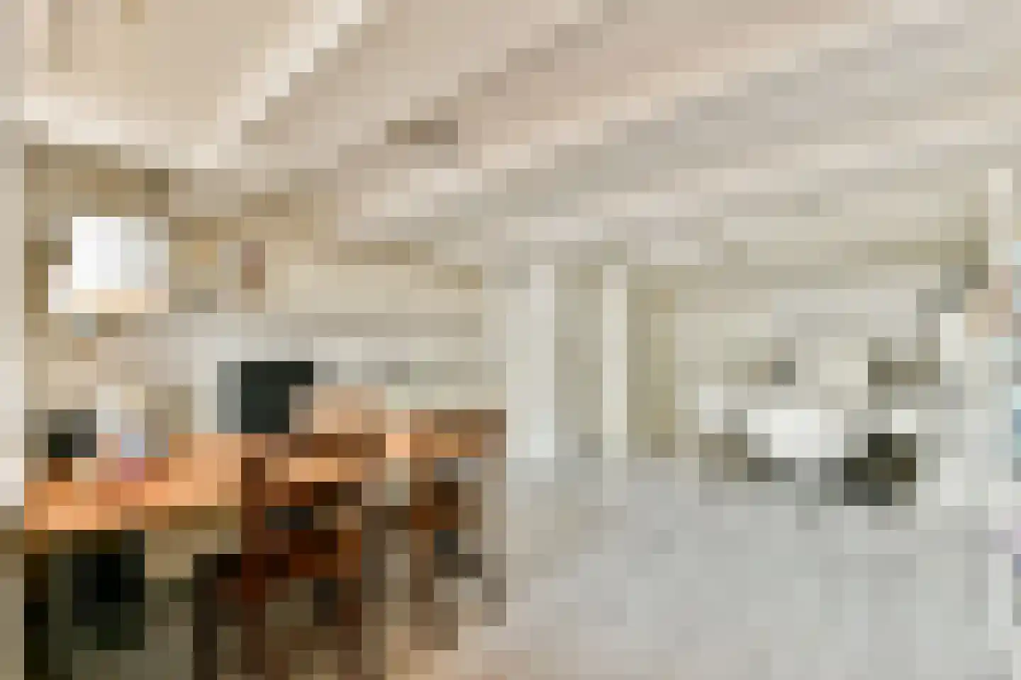 Muiderstraat 8 H Amsterdam thumbnail 53